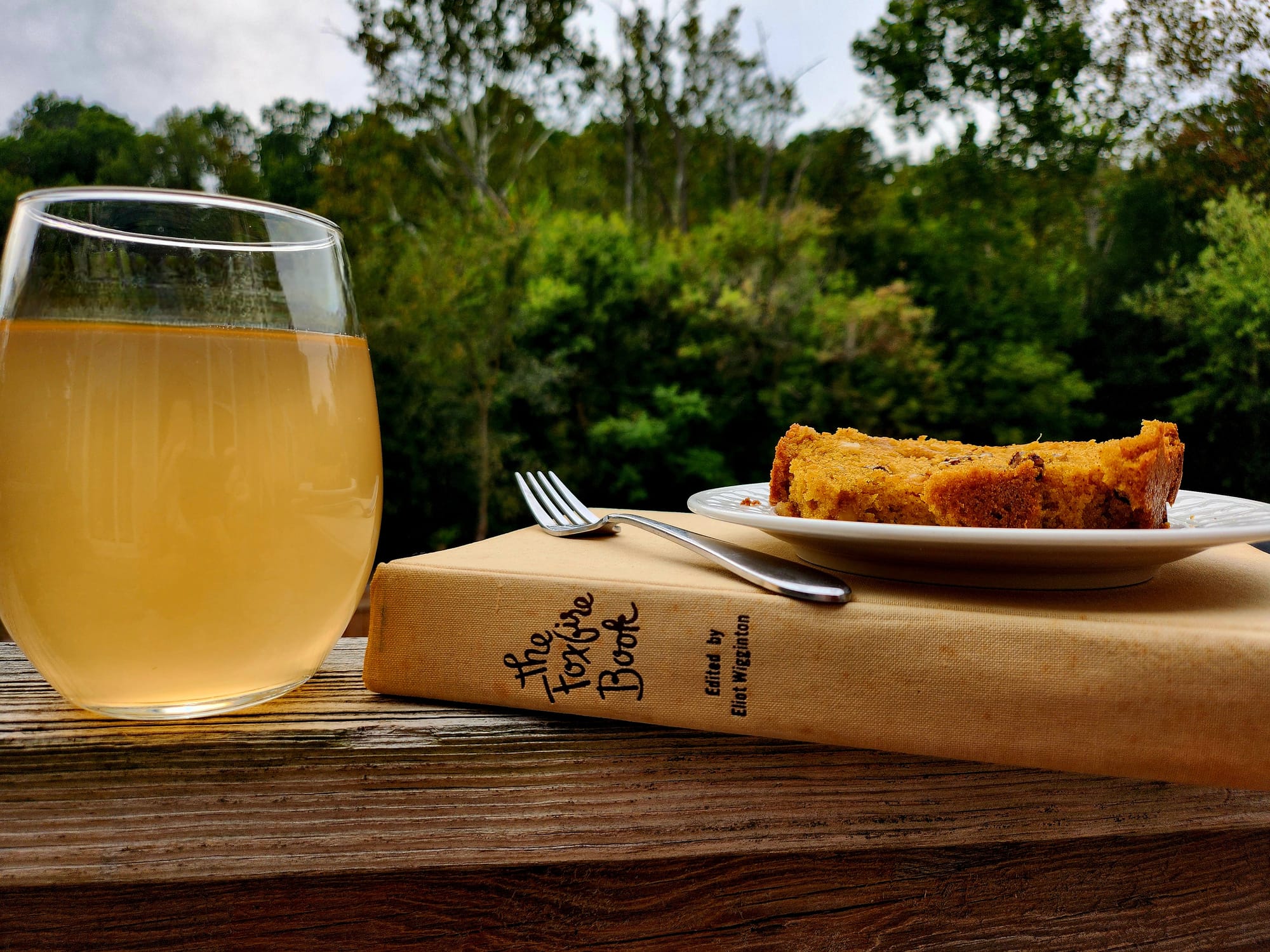 Cover of All About Small Game Hunting in America