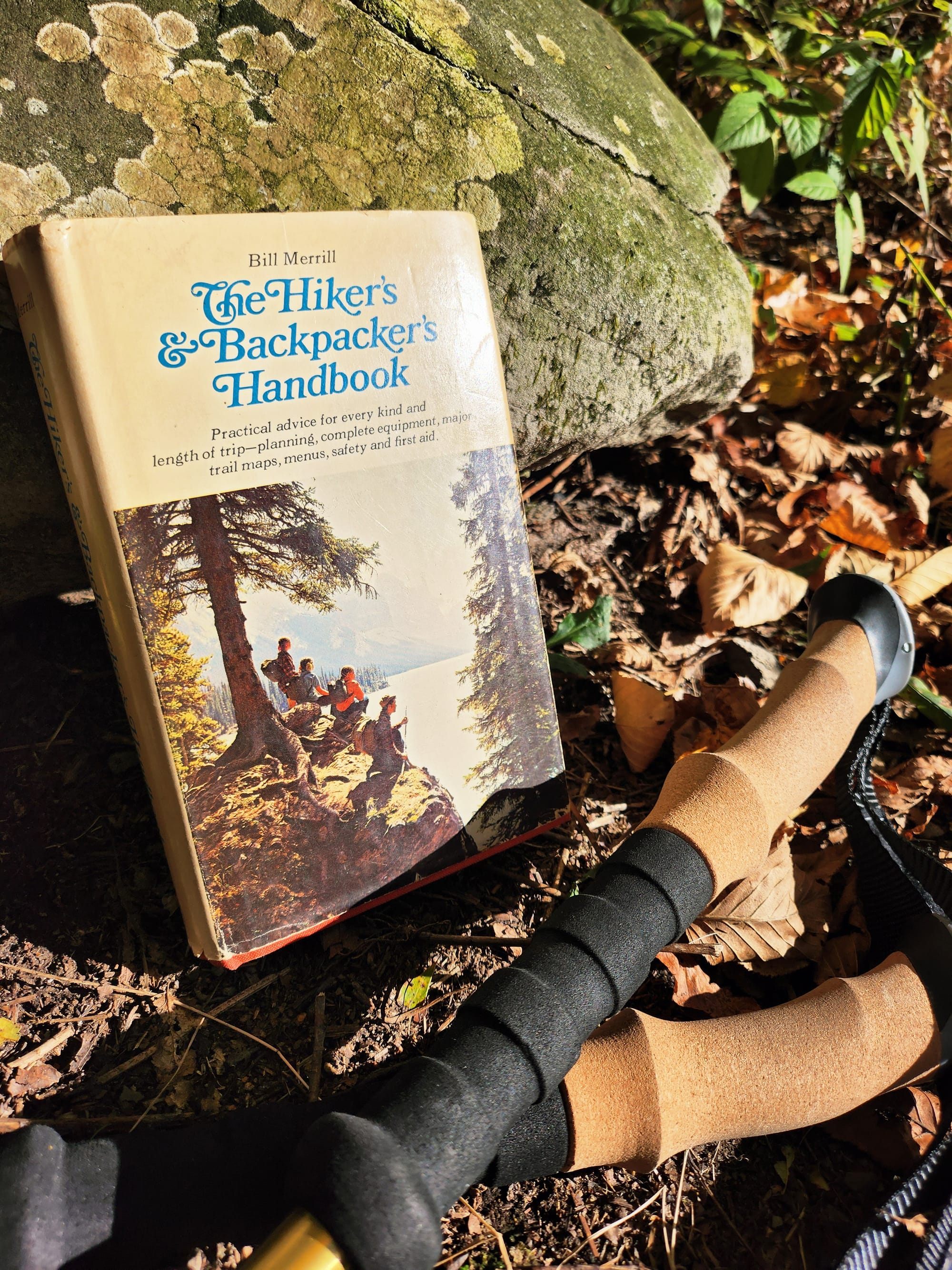 Cover of All About Small Game Hunting in America