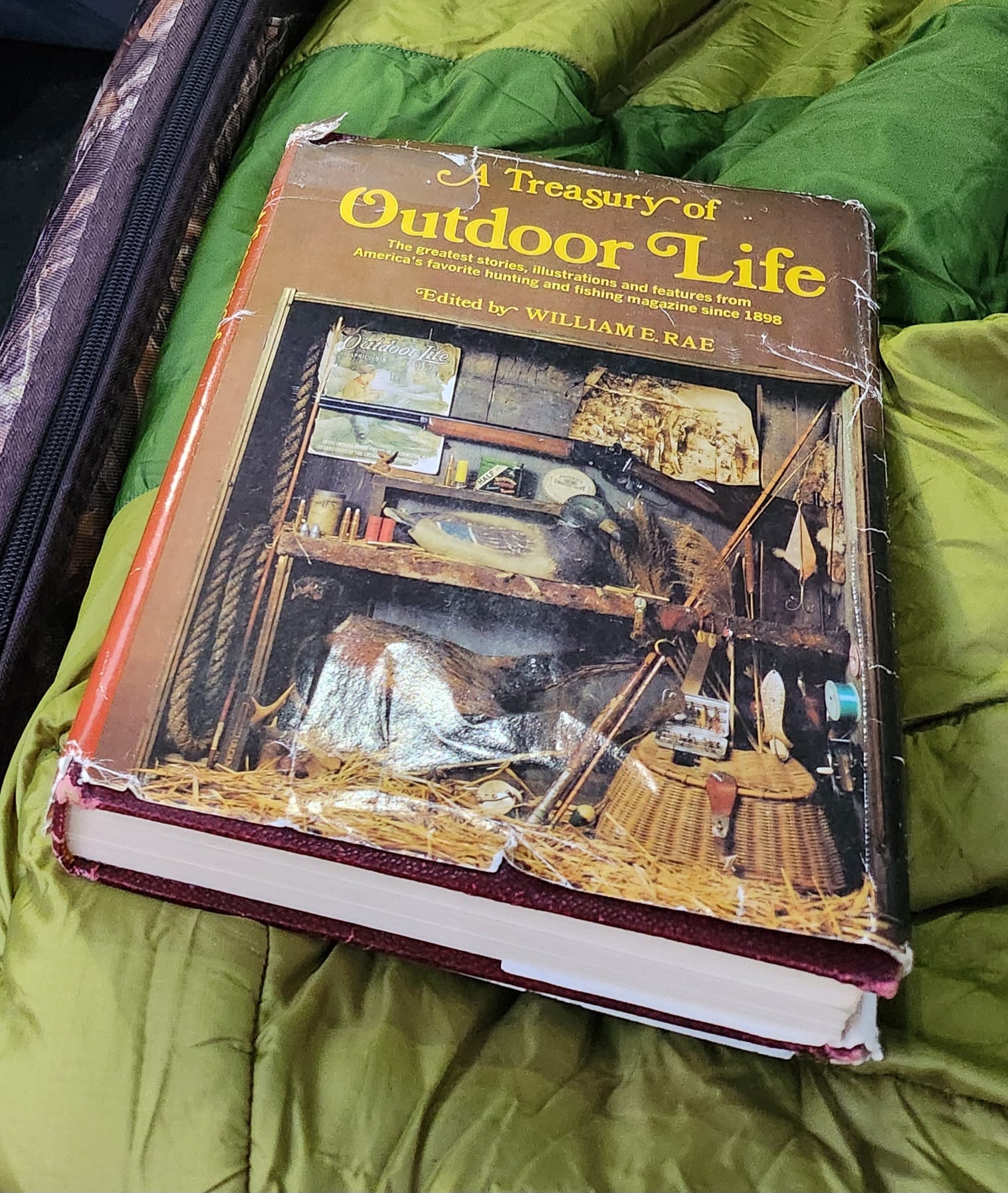 Cover of All About Small Game Hunting in America