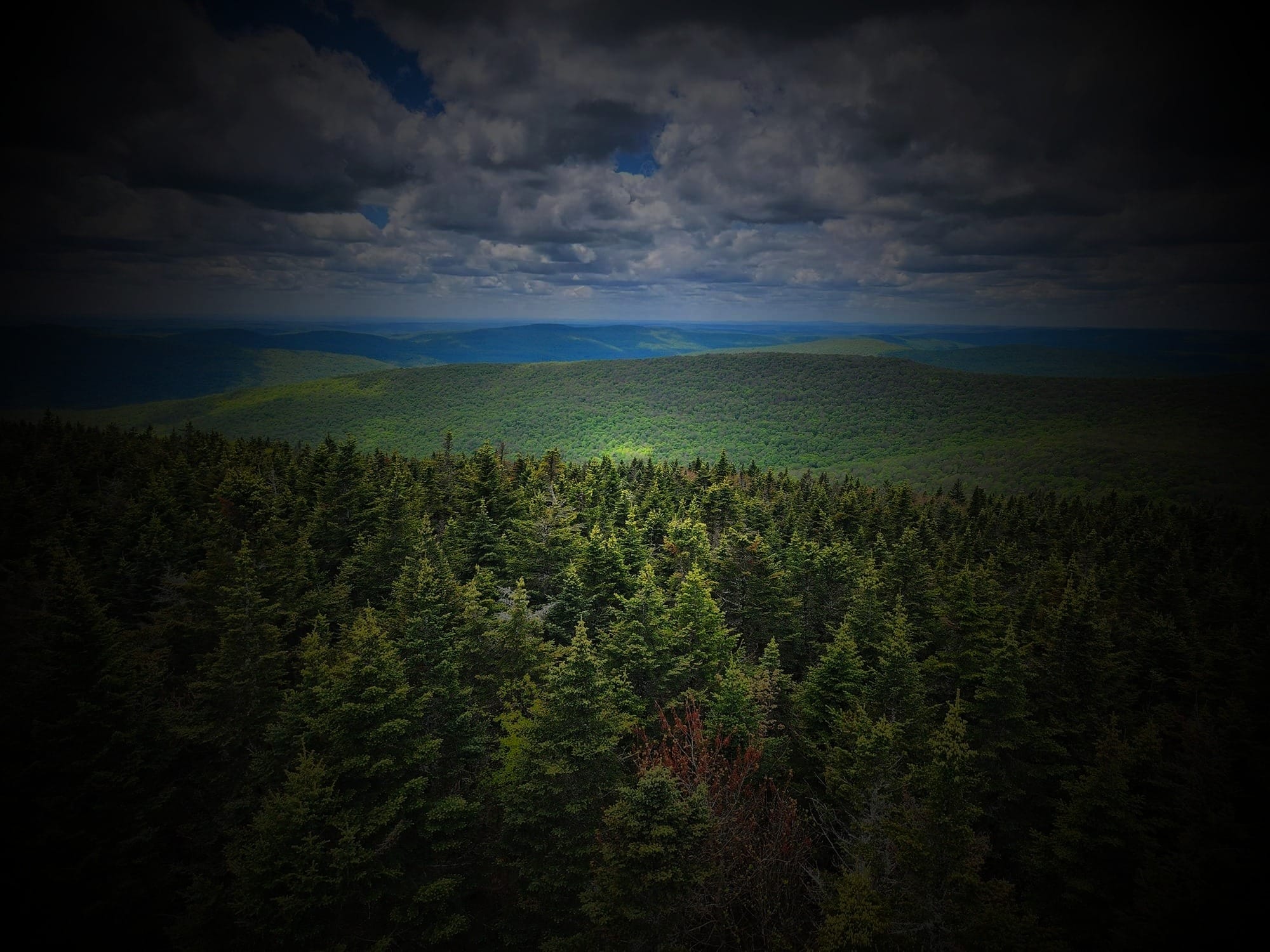 Outdoorsman's Archive